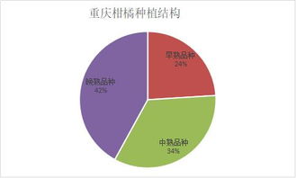 柑橘市場(chǎng)調(diào)研 重慶柑橘的輝煌歷史、效益困境與崛起之路